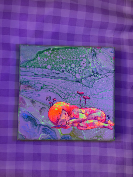 dream with our little secrets